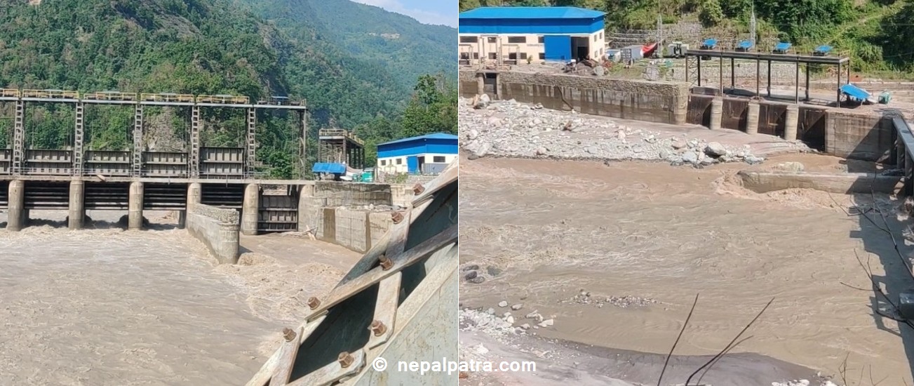 जलविद्युत