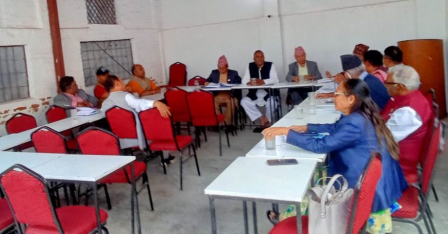 जसपाको केन्द्रीय कार्यकारिणी समितिको बैठक