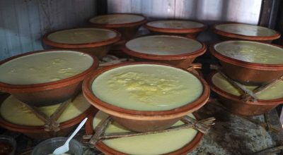 जुजु दही