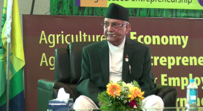 केपी शर्मा ओली