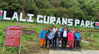 म्याग्दीको घोडेपानीमा बनाइयो गुराँस ‘पार्क’