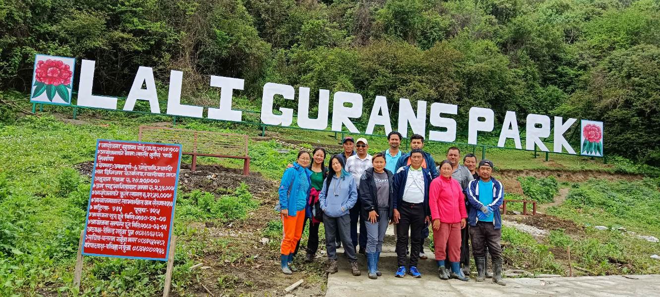 म्याग्दीको घोडेपानीमा बनाइयो गुराँस ‘पार्क’