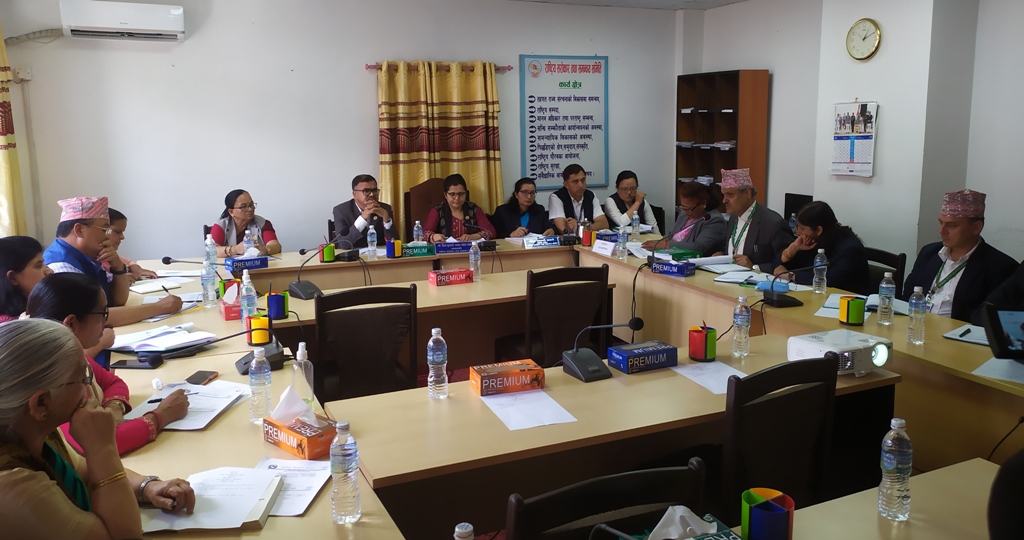 राष्ट्रिय सरोकार तथा समन्वय समिति