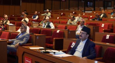 राष्ट्रिय सभा