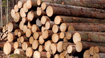 काठ आपूर्ति