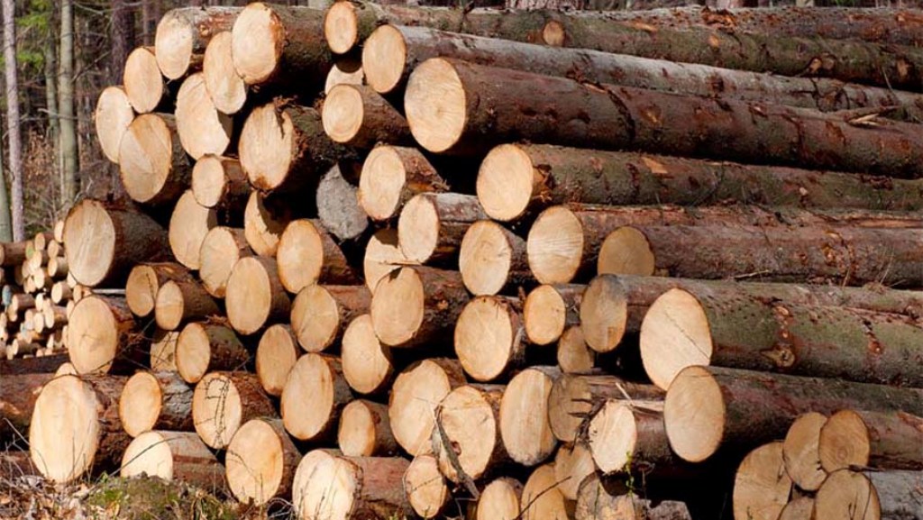 काठ आपूर्ति