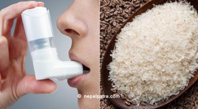 दमको रोगमा ईसबगोल भुसिको प्रयोग