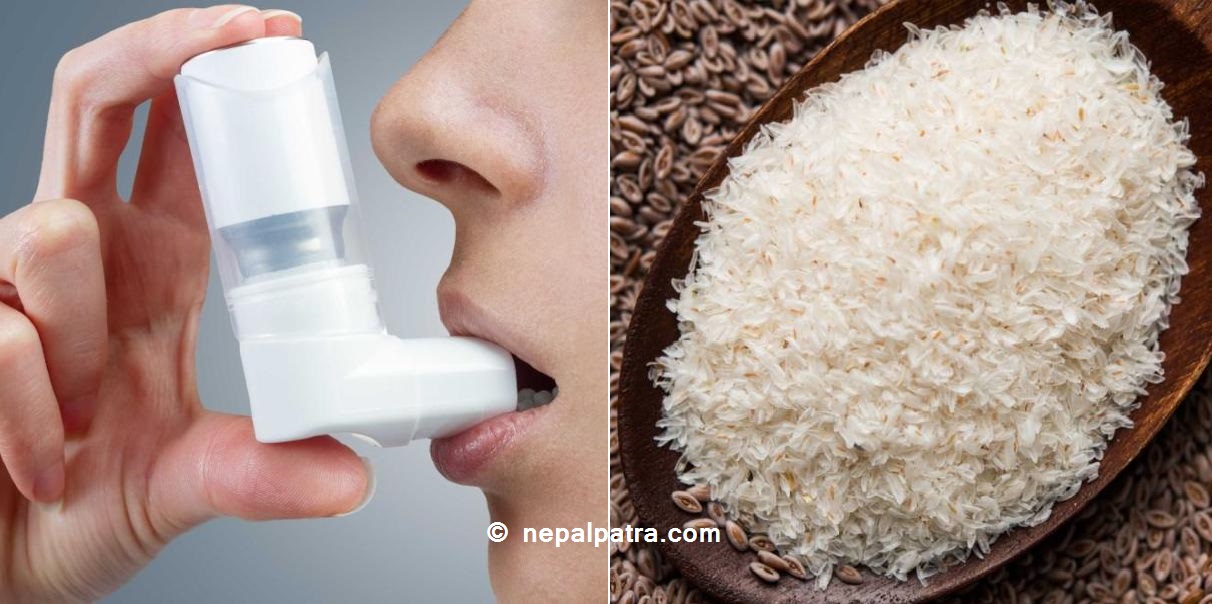 दमको रोगमा ईसबगोल भुसिको प्रयोग