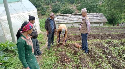 बझाङको आनन्दपुरका किसान