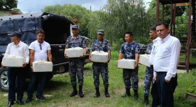 बरामद भएको अवैध सुन