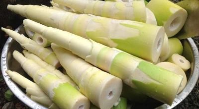 बाँसको तामा