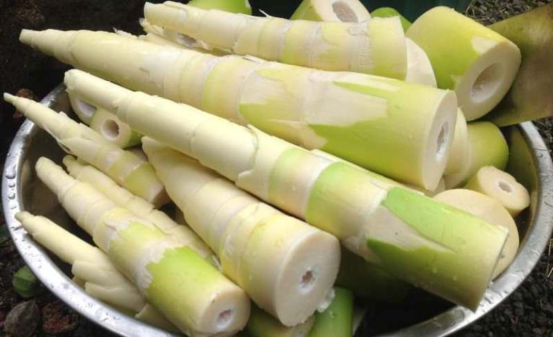 बाँसको तामा