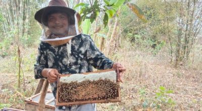 चेपाङको चलन– छोरीलाई दाइजो चिउरीको बोट