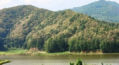 हरियो वन