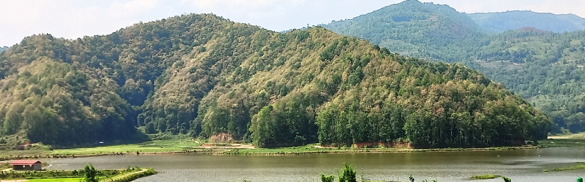 हरियो वन