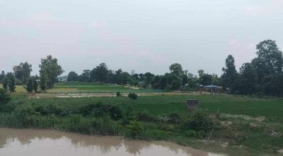 कञ्चनपुरका कुतियाकबरवासी