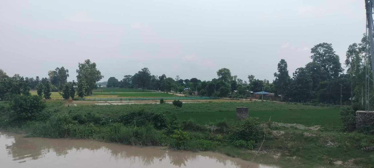 कञ्चनपुरका कुतियाकबरवासी