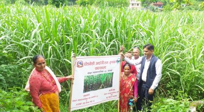 खुदोले चिनिएको गाउँ