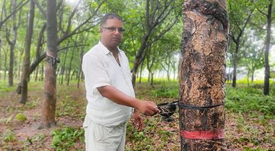 प्राकृतिक रबर