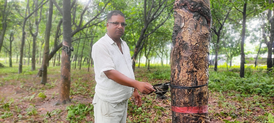प्राकृतिक रबर