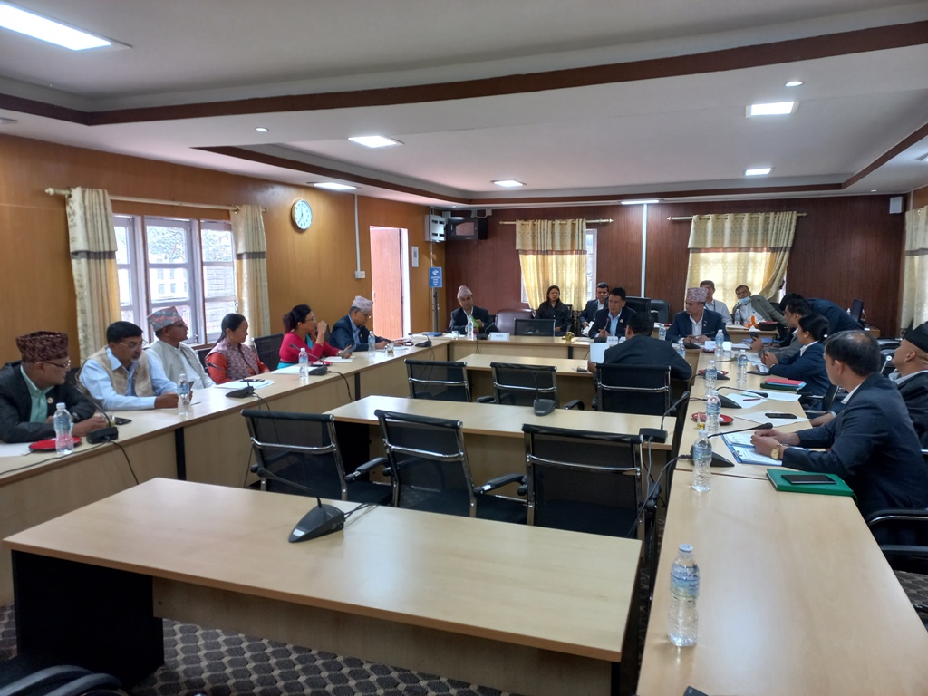 अघि बढाउने निर्णय