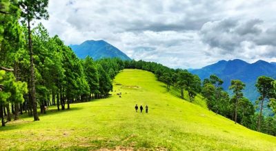 डम्मर बुढा मगर