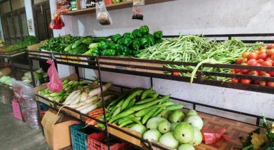 तरकारीको आयात