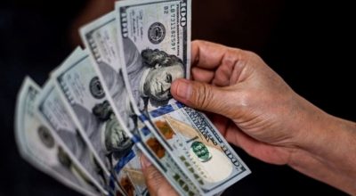 डलर साट्न पाइने