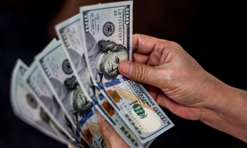 डलर साट्न पाइने