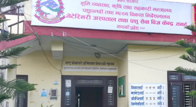 नमूना पशुपक्षी अस्पताल