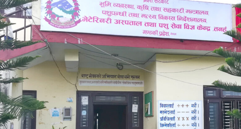 नमूना पशुपक्षी अस्पताल