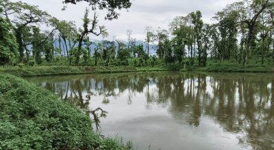 सामुदायिक वनमा पोखरी