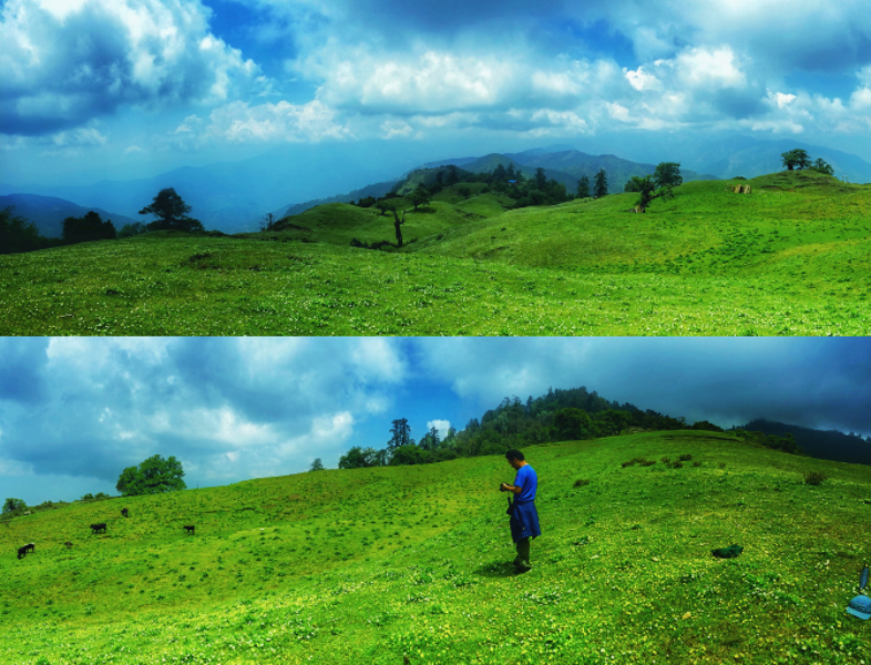 गोरखाको धार्चे