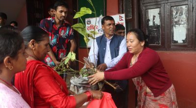 बिरुवा वितरण