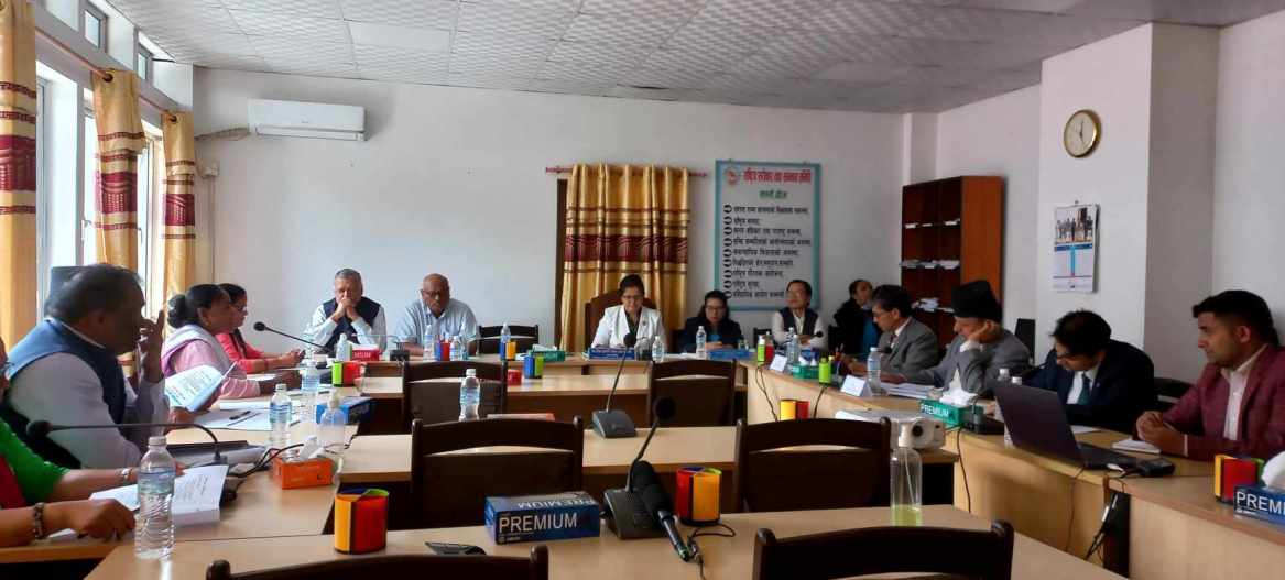 राष्ट्रिय सरोकार तथा समन्वय समिति