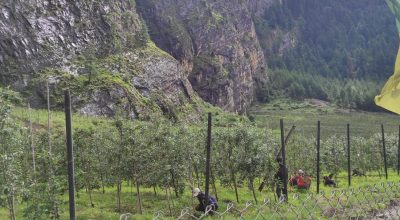 मनाङ स्याउखेती