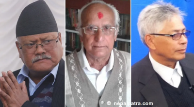 विजयकुमार गच्छदार, चन्द्रदेव जोशी र डम्बर श्रेष्ठ