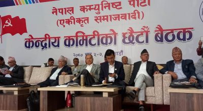 एकीकृत समाजवादी