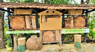 गाभर भ्याली सामुदायिक ‘होमस्टे'