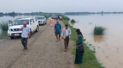 कैलालीमा डुबान