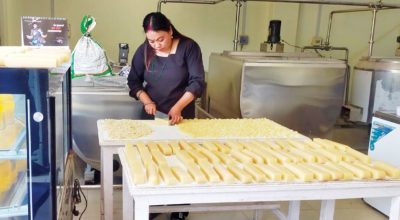 स्याङ्जामा उत्पादित छुर्पी अमेरिका निर्यात