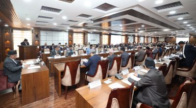 प्रधानमन्त्री प्रचण्ड मुख्यमन्त्रीहरुसंग