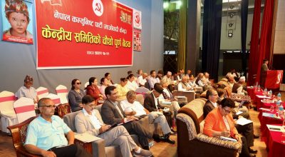 प्रचण्ड केन्द्रीय समिति बैठक