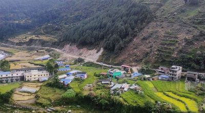 सालझण्डी–ढोरपाटन सडक