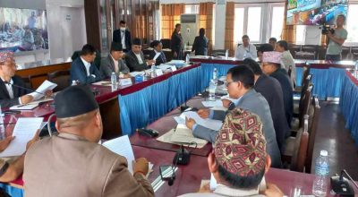 ससदीय सुनुवाइ समिति