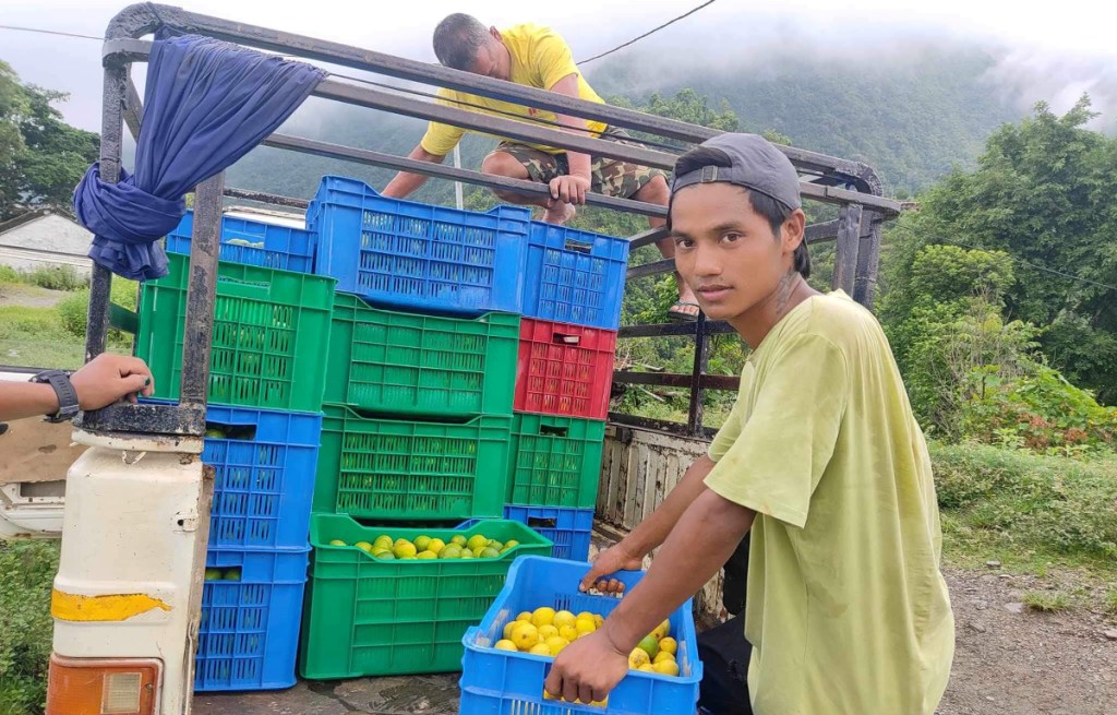 तनहुँमा उत्पादित कागती