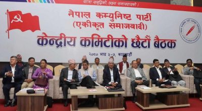 एकीकृत समाजवादीको केन्द्रीय समितिको बैठक