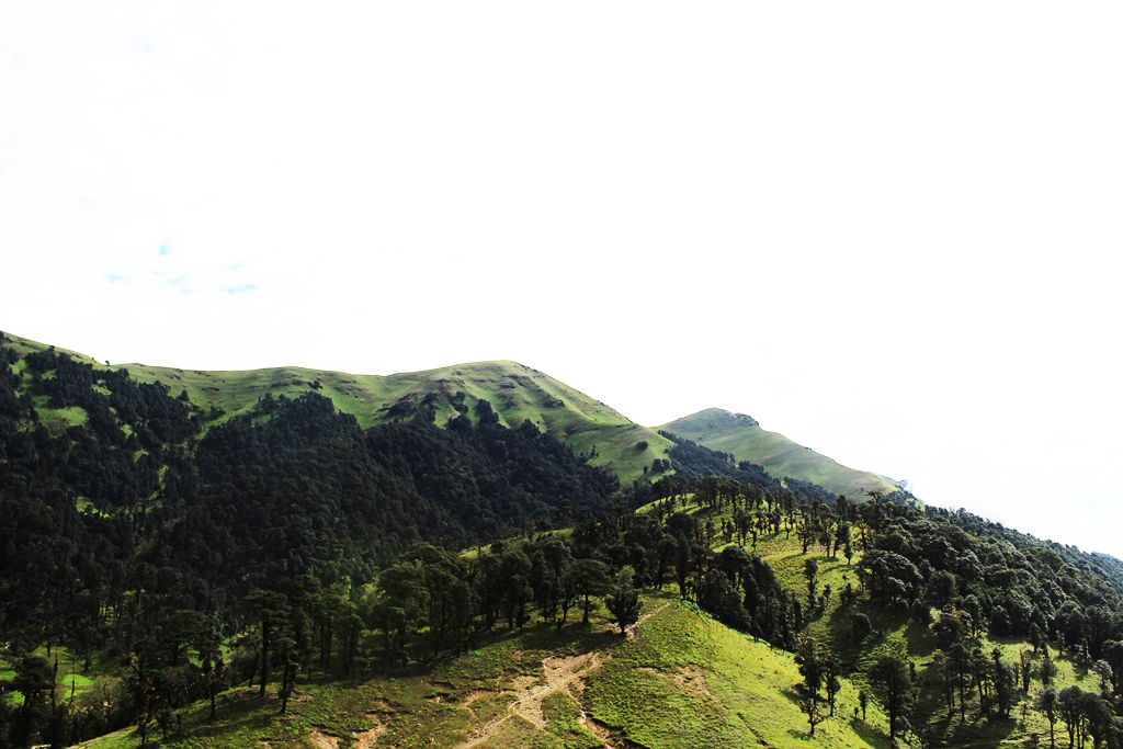 बागलुङको ‘रिग क्षेत्र’