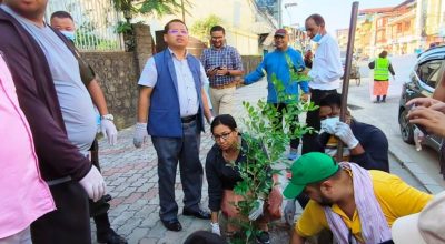 भरतपुरमा हरियाली प्रवर्द्धनका लागि ५ करोड बजेट विनियोजन