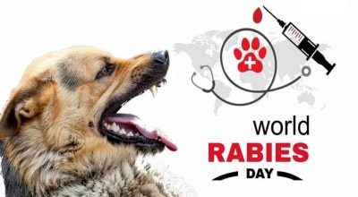 विश्व रेविज डे